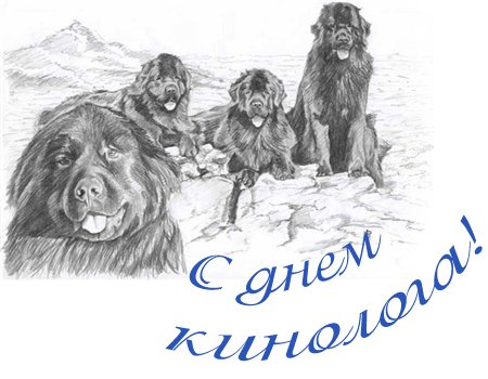Открытка с профессиональным праздником день кинолога,с днём кинолога Открытка,картинка с праздником день кинолога,открытки на день кинолога,картинки с днём кинолога,поздравления с днём кинолога,праздник день кинолога открытки .  