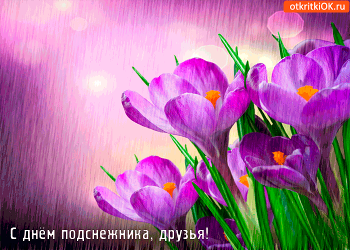 Открытка гиф с праздником день подснежника , мерцающая открытка с подснежниками Открытка гиф с всемирным праздником день подснежника , перевод с английского день первоцвета отмечается 19 апреля подснежник символ надежды, отмечается во многих странах мира.