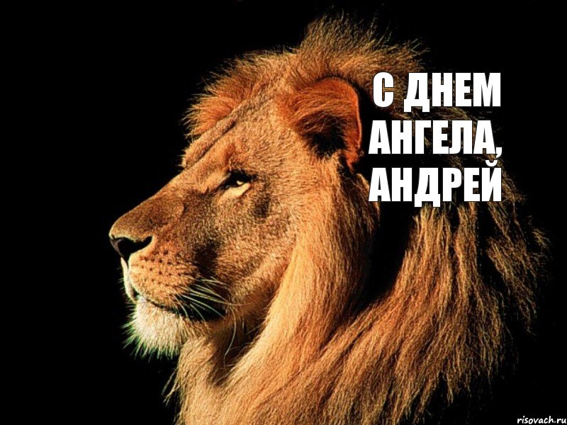 Открытка,картинка с днём ангела Андрея,поздравления с именинами Андрея Картинки,открытки с днём ангела Андрея,открытка,картинка с именинами Андрея,с днём Андрея,красивая открытка на день ангела Андрея,день Андрея открытка,открытки 