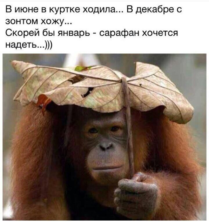 прикольные отклытки на тему погоды , смешные открытки про погоду,разные. прикольные открытки про погоду , смешные открытки про погоду , юмористические картинки на тему погоды , разные , вызывающие смех , со смешным текстом , на любую тему погоды
