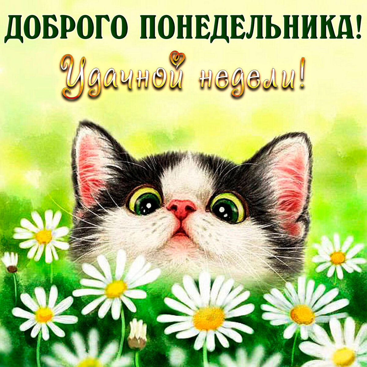 Открытки с добрым утром понедельника ,доброе утро понедельник Открытки , картинки доброе утро понедельника ,открытки с добрым утром понедельника, понедельник доброе утро,картинки доброе утро понедельник скачать бесплатно .