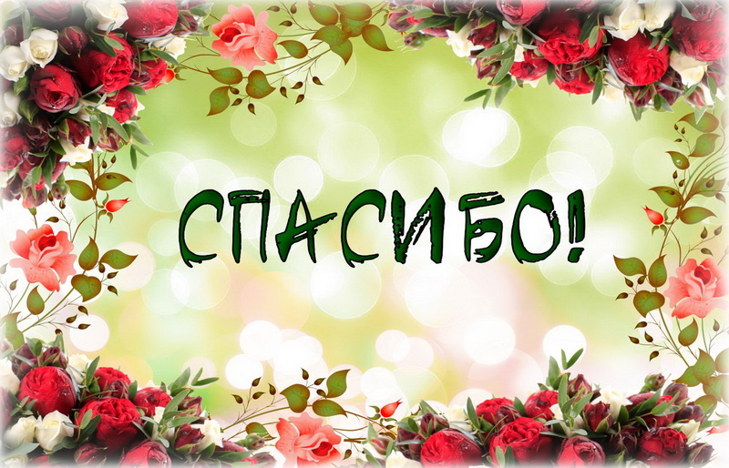 Открытка со словом благодарности спасибо,открытка спасибо ,цветы. Картинка,открытка со словом спасибо , спасибо открытка,красивые цветы,открытки со словом спасибо, картинка с надписью спасибо,с цветами,яркая,красивая открытка спасибо.