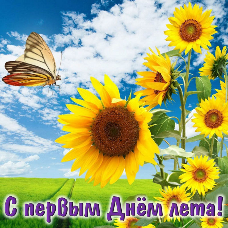 Открытка первый день лета , начало лета , с первым днём лета ,цветы. Картинка открытка с первым днём лета , начало лета , первый день лета , вот и лето , картинки яркие с первым днём лета ,цветы , открытки с летом , с началом лета