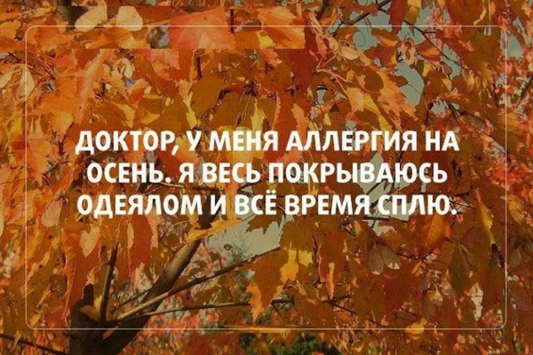 открытки прикольные на тему времена года , смешные открытки про осень прикольные открытки на тему времена года , смешные , прикольные открытки про  осень , осень наступила , открытки с юмором осень , осенние прикольные открытки . 
