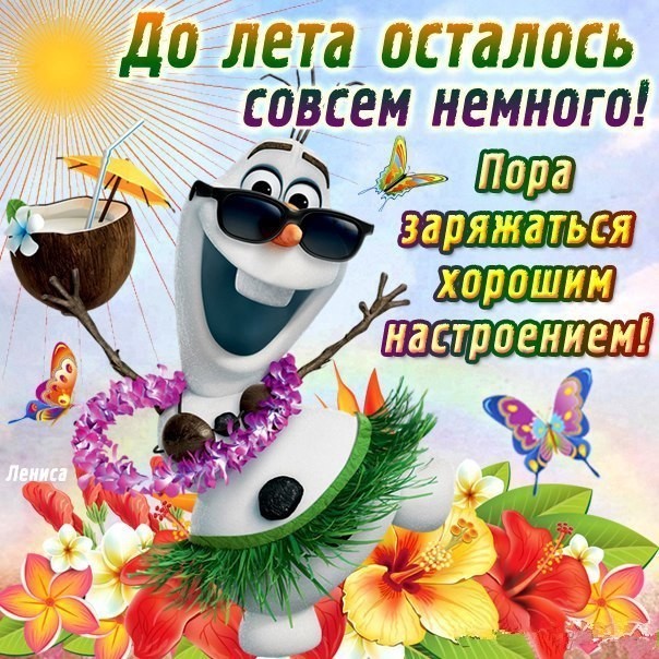 прикольные открытки , на тему времена года , прикольные про лето. прикольные открытки на тему времена года , открытки прикольные про лето ,открытки юмористического характера про лето , яркие , летние , смешные , летнее настроение.