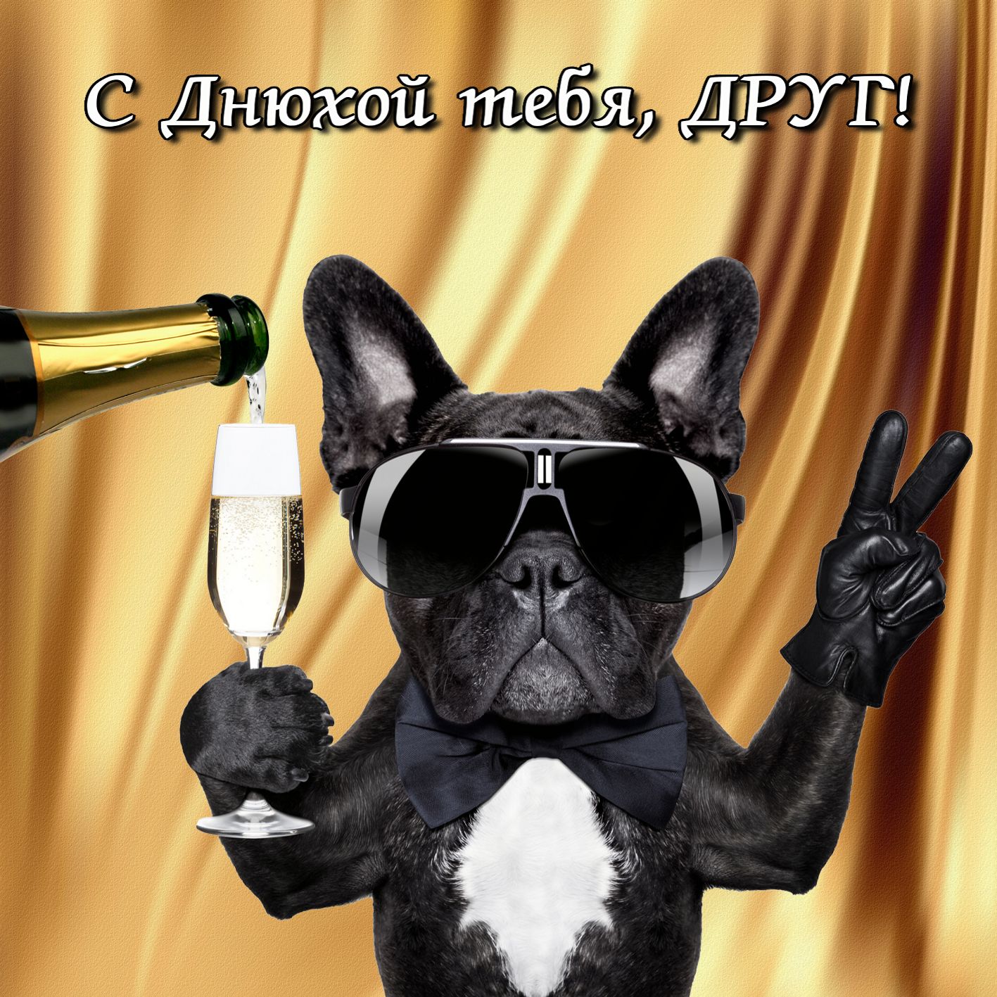 Открытка с днём рождения прикольные,прикольные открытки с днём рождения Картинки ,открытки прикольные с днём рождения,собака бульдог,открытка на день рождения прикольная,картинка прикольная с днём рождения,с днюхой,прикольная открытка с днём рождения