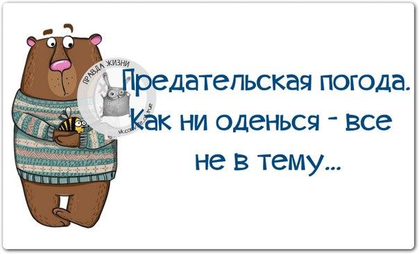 прикольные отклытки на тему погоды , смешные открытки про погоду,разные. прикольные открытки про погоду , смешные открытки про погоду , юмористические картинки на тему погоды , разные , вызывающие смех , со смешным текстом , на любую тему погоды