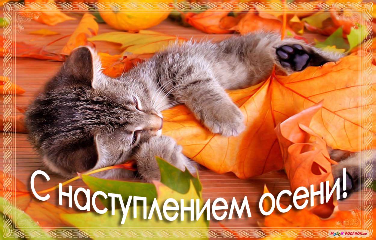 Открытка с началом осени,первый день осени,с наступлением осени. Открытки картинки с первым днём осени,сентябрь,открытка с началом осени,красивая осень наступила,открытки с наступлением осени,первый день осени скачать бесплатно