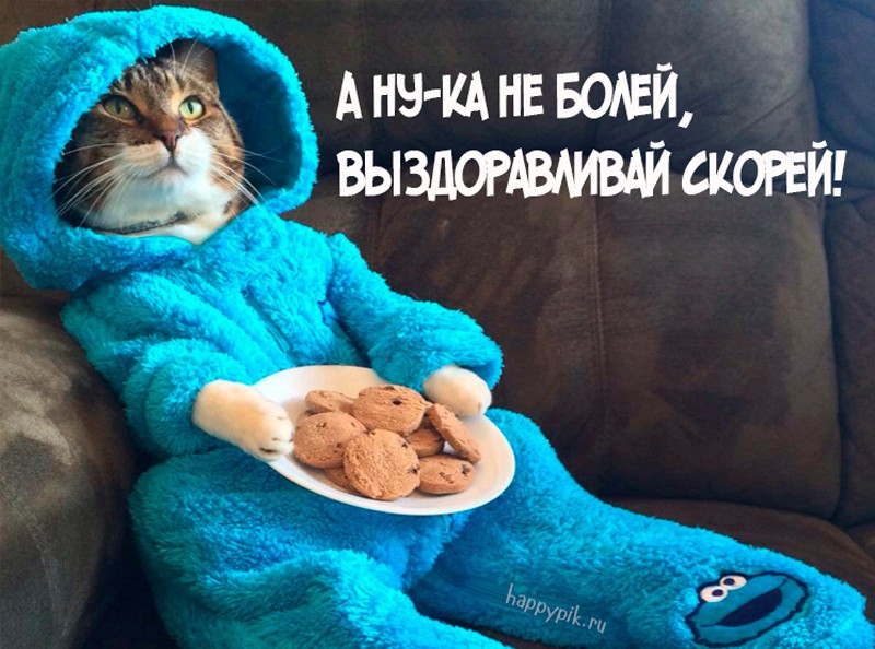 Открытка выздоравливай,пожелания выздоравления,открытки выздоравливай,кот Картинка открытка с пожеланиями выздоравления,выздоравливай,поправляйся,открытки выздоравливай,картинки пожелания выздоравливай,выздоравливай открытка ,скорей выздоравливай
