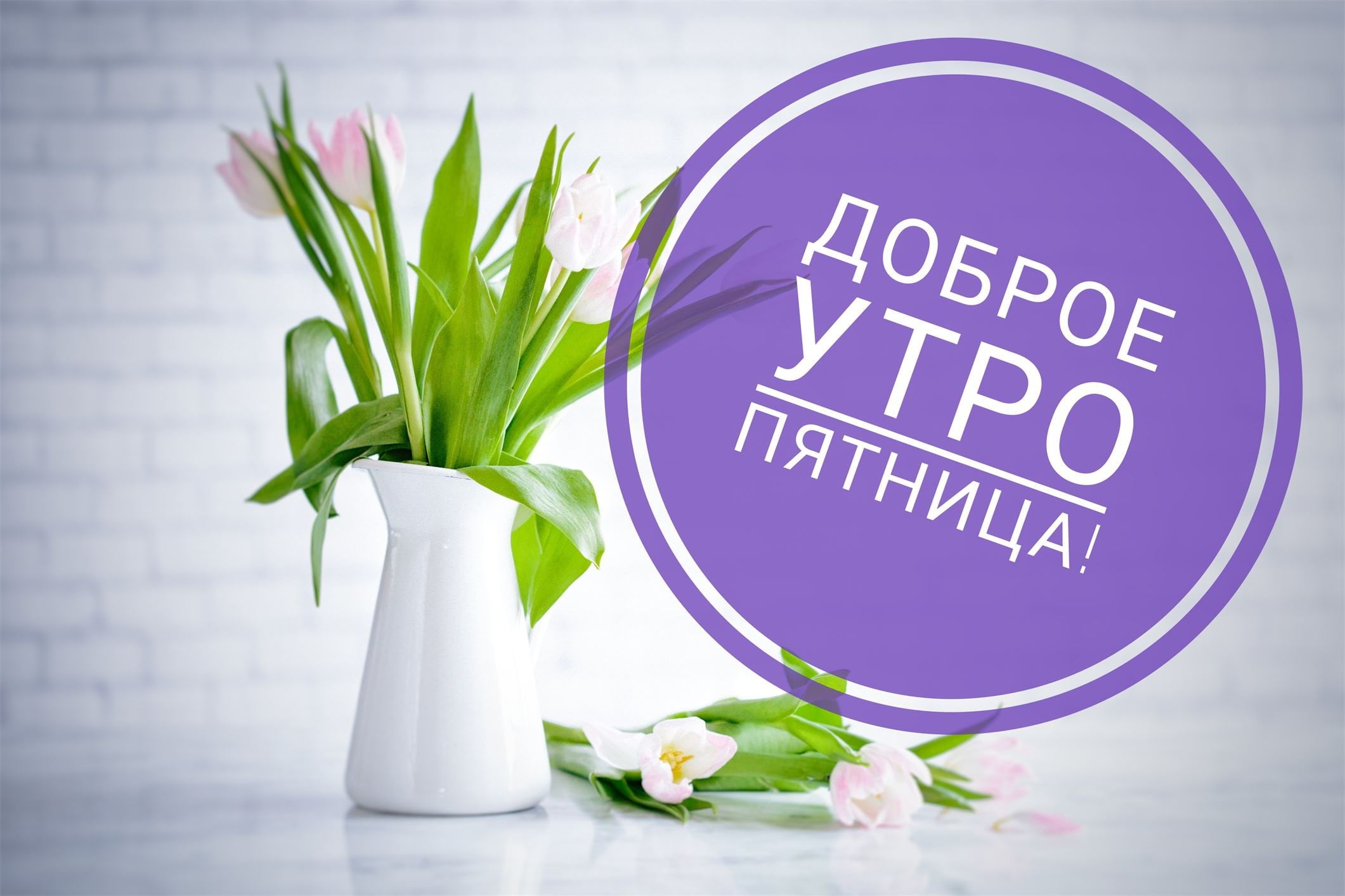 Открытка,картинка с пожеланиями доброго утра пятницы,пятница доброе утро. Картинка ,открытка с добрым утром пятницы,открытки доброе утро пятницы, картинки с пятницей доброе утро, красивая открытка доброе утро пятницы скачать бесплатно