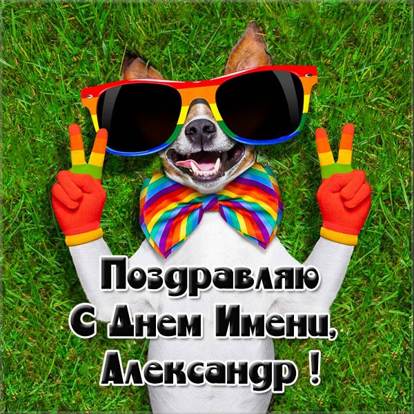 Открытка,открытки  с днём ангела Александр,с именинами Александр Картинки,открытки с днём ангела,с именинами Александр ,поздравления с именинами Александра,красивая открытка на день ангела Александра,Саши скачать бесплатно . 