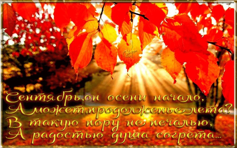 Открытка с началом осени,первый день осени,с наступлением осени. Открытки картинки с первым днём осени,сентябрь,открытка с началом осени,красивая осень наступила,открытки с наступлением осени,первый день осени скачать бесплатно