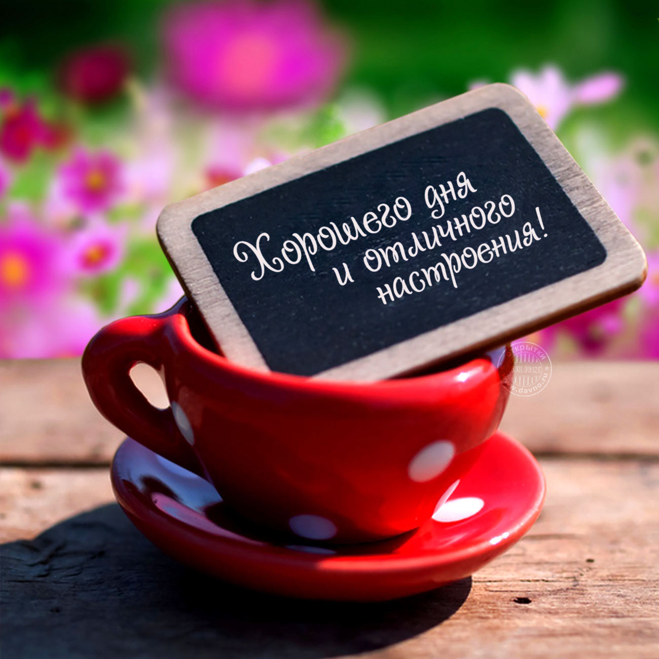 Открытка хорошего дня ,пожелания хорошего дня ,открытки хорошего дня. Картинка открытка с пожеланиями хорошего дня ,добрые пожелания хорошего дня , открытки хорошего дня ,картинки пожелать хорошего дня , открытка хорошего дня скачать бесплатно