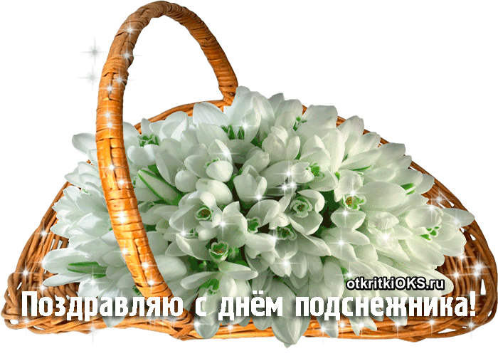 Открытка гиф с праздником день подснежника , мерцающая открытка с подснежниками Открытка гиф с всемирным праздником день подснежника , перевод с английского день первоцвета отмечается 19 апреля подснежник символ надежды, отмечается во многих странах мира.