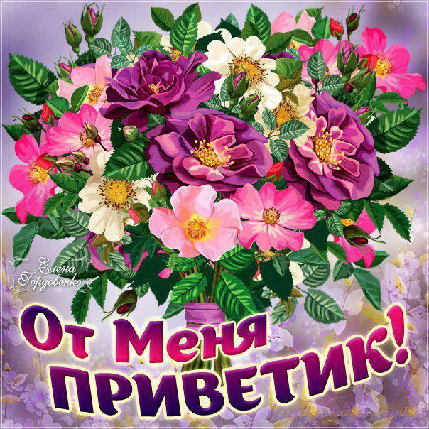Открытка привет, приветик , открытки приветствие , красивые цветы. Картинка , открытка привет , приветик, на открытке красивые цветы , картинки со словом привет, открытки со словом , надписью привет , приветик , яркие открытки привет , приветик.