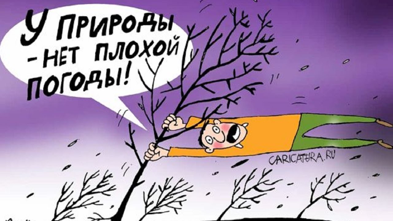 прикольные отклытки на тему погоды , смешные открытки про погоду,разные. прикольные открытки про погоду , смешные открытки про погоду , юмористические картинки на тему погоды , разные , вызывающие смех , со смешным текстом , на любую тему погоды