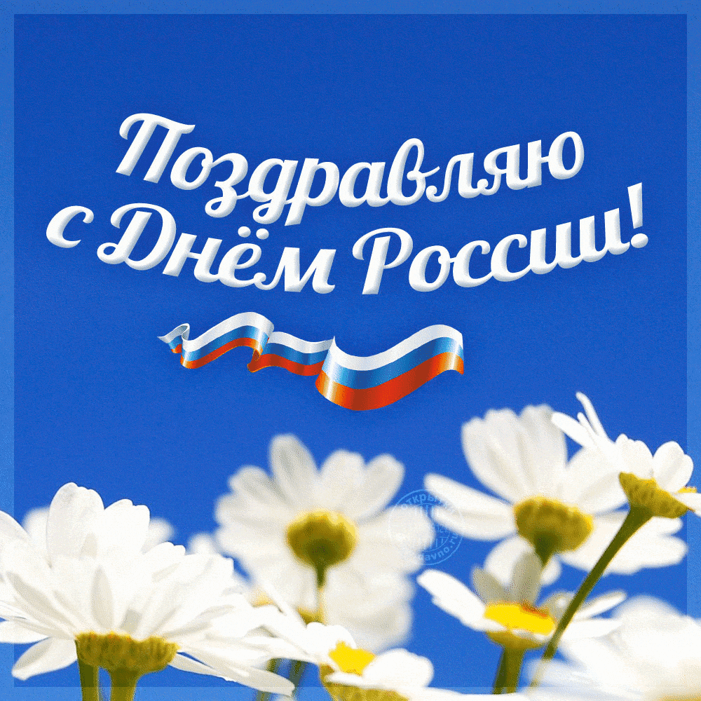 Открытка с праздником день России,поздравления с днём России,ромашки,12 июня. Открытки,картинки с днём России,открытка на день России 12 июня картинки, открытки с поздравлениями день России,ромашка,день России открытки скачать бесплатно .