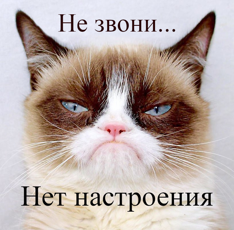Открытки , картинки нет настроения , у меня нет настроения , с кошками. Открытки , картинки нет настроения , у меня нет настроения , с изображением на картинке , открытке кошки , грустные кошки,мне грустно потому что нет настроения .