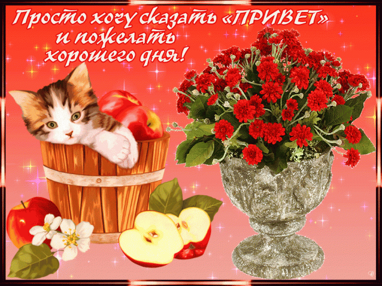 Открытка хорошего дня ,пожелания хорошего дня ,открытки хорошего дня. Картинка открытка с пожеланиями хорошего дня ,добрые пожелания хорошего дня , открытки хорошего дня ,картинки пожелать хорошего дня , открытка хорошего дня скачать бесплатно