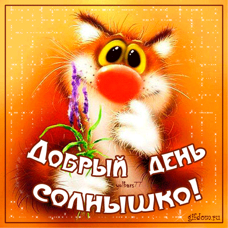 открытки с пожеланиями доброго дня хорошего дня хорошего настроения  открытки с пожеланием доброго дня отличного настроения на весь день хорошего настроения много пазитива прикольные открытки с пожеланиями прекрасного дня смешные 