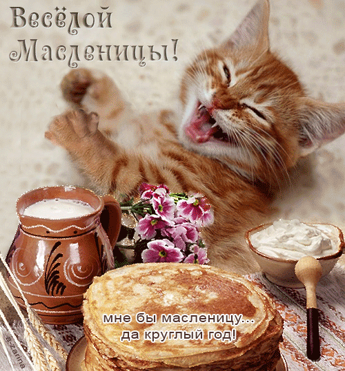 Масленица традиционный праздник , народно православный праздник Масленица традиционный праздник , народно православный праздник , открытки , картинки гиф , с изображением на открытке блинов и котят , кошек , мерцающие открытки с масленицей