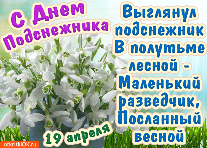 Открытка гиф с праздником день подснежника , мерцающая открытка с подснежниками Открытка гиф с всемирным праздником день подснежника , перевод с английского день первоцвета отмечается 19 апреля подснежник символ надежды, отмечается во многих странах мира.
