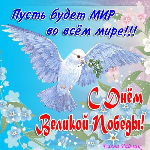 9 мая день победы , открытки с праздником победы , с голубями. 9 мая день победы , открытки , картинки с праздником победы ,с изображением на картинке голубей , чистого неба над головой , белый голубь ,голубь летит, с днём победы .