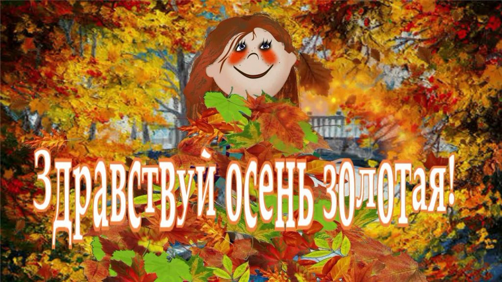 открытки прикольные на тему времена года , смешные открытки про осень прикольные открытки на тему времена года , смешные , прикольные открытки про  осень , осень наступила , открытки с юмором осень , осенние прикольные открытки . 