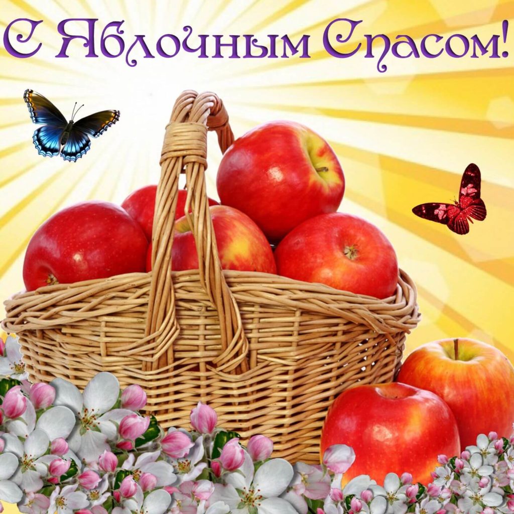 Яблочный спас народно христианский праздник , открытки карзина с яблоками . Яблочный спас народно христианский праздник , открытка , картинка с изображением карзины с красивыми яблоками , много яблок на картинке , с праздником ,с яблочным спасом