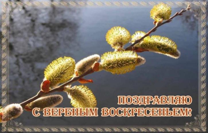 Вербное воскресенье православный праздник , открытка с вербой Вербное воскресенье православный праздник , открытка , картинка с изображением на открытке вербы , с вербным воскресеньем , вербы , красивые, весенние , пушистые вербы
