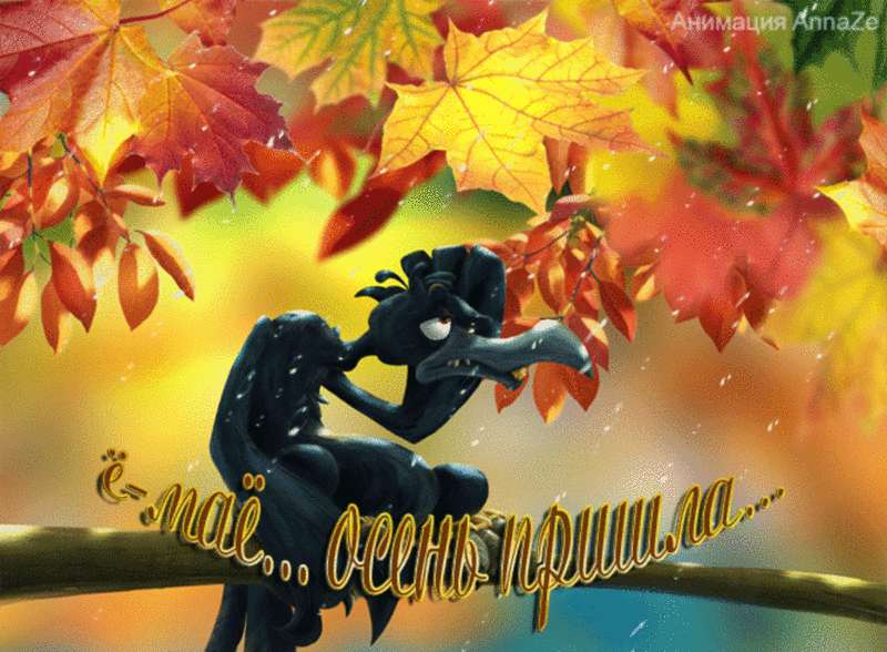 открытки прикольные на тему времена года , смешные открытки про осень прикольные открытки на тему времена года , смешные , прикольные открытки про  осень , осень наступила , открытки с юмором осень , осенние прикольные открытки . 