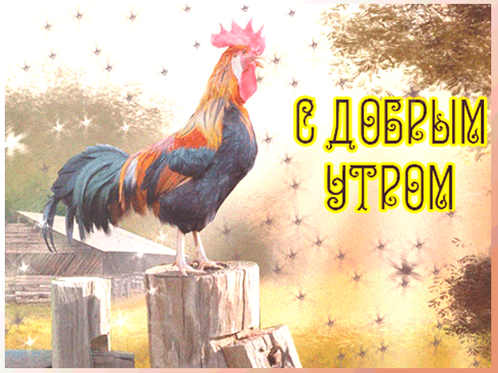 Открытка,картинка доброе утро ретро,с добрым утром ретро стиль Картинки,открытки с добрым утром в стиле ретро,петух,открытка открытки доброе утро в старинном стиле,ретро стиль,красивые открытки с добрым утром ретро,ретро стиль скачать