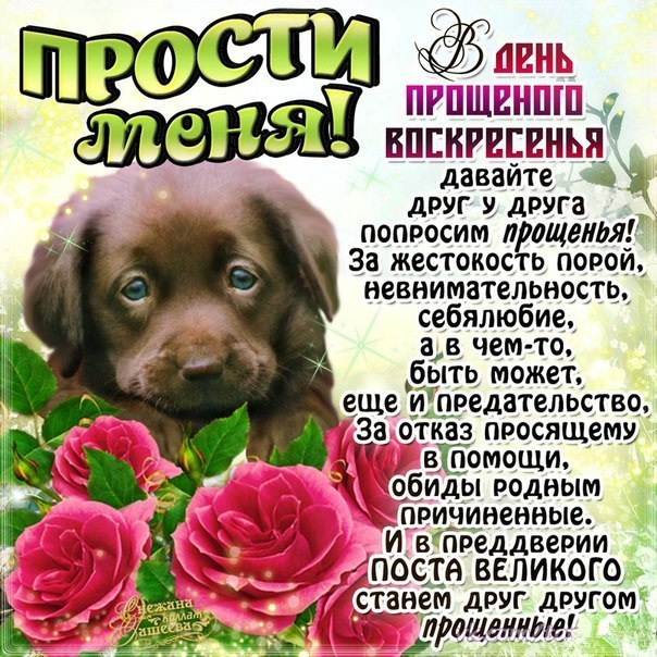 Прощёное воскресенье православный праздник открытка с щенком Прощёное воскресенье православный праздник последний день масленицы , открытки , картинки с изображением на открытке щенка , собачка , с прощёным воскресеньем .