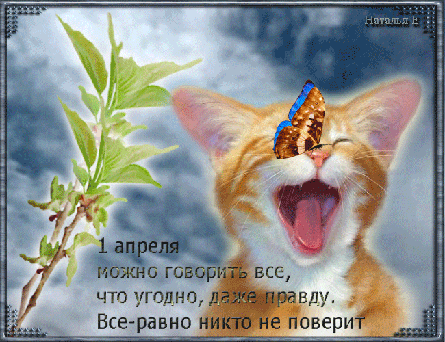 Открытка гиф с праздником день смеха , 1 апреля , открытка с котиком. Картинка , открытка гиф , мерцающая с всемирным днём смеха , первое апреля , в этот день принято разыгрывать друг ,друга , праздник шуток , приколов , открытка гиф с 1 апреля с котом.