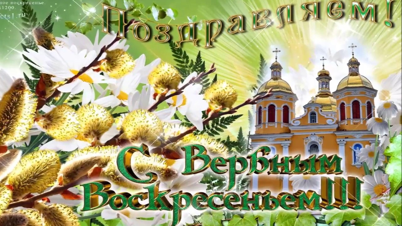 Вербное воскресенье православный праздник , открытки с вербным. Вербное воскресенье православный праздник , картинки , открытки с изображением церкви на открытке , купола церковные , веснняя верба , веточки вербы , с вербным.