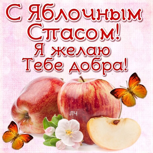 Яблочный спас народно христианский праздник , открытка с яблочным спасом . Яблочный спас народно христианский праздник ,преображение Господне, картинка открытка , на открытке изображены красивые яблочки , открытка к празднику яблочный спас с яблоками . 