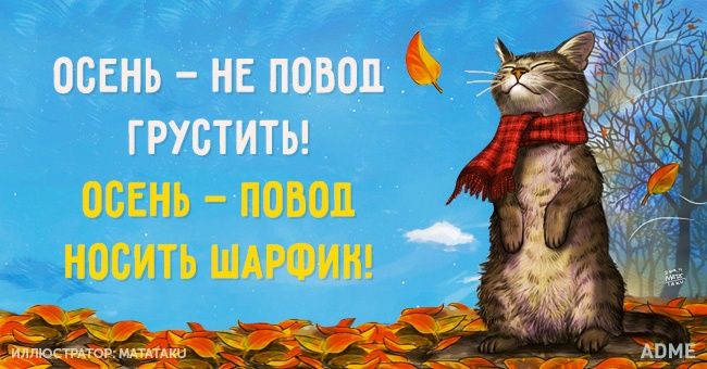 открытки прикольные на тему времена года , смешные открытки про осень прикольные открытки на тему времена года , смешные , прикольные открытки про  осень , осень наступила , открытки с юмором осень , осенние прикольные открытки . 