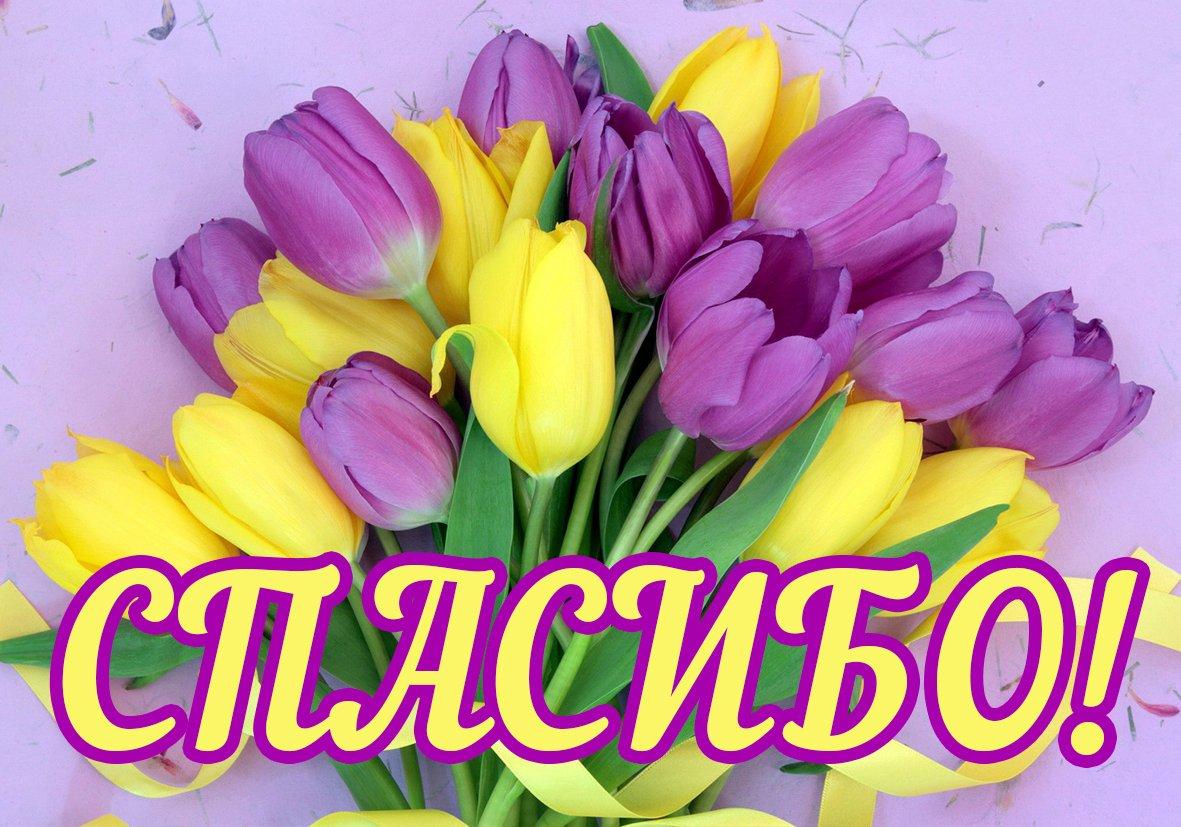 Открытка со словом благодарности спасибо,открытка спасибо ,цветы. Картинка,открытка со словом спасибо , спасибо открытка,красивые цветы,открытки со словом спасибо, картинка с надписью спасибо,с цветами,яркая,красивая открытка спасибо.