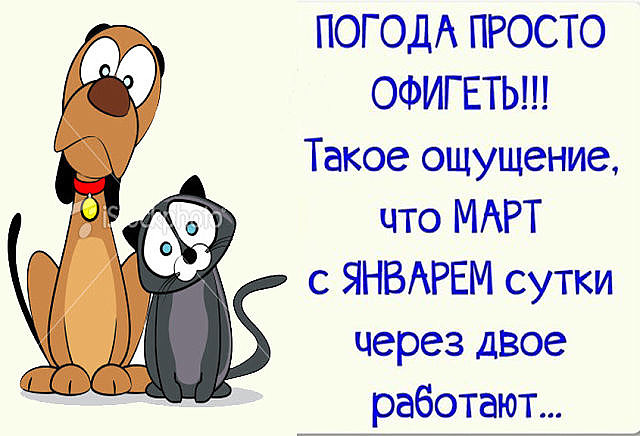 прикольные отклытки на тему погоды , смешные открытки про погоду,разные. прикольные открытки про погоду , смешные открытки про погоду , юмористические картинки на тему погоды , разные , вызывающие смех , со смешным текстом , на любую тему погоды