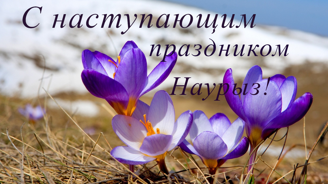 22 марта наурыз , открытки с наступающим праздником наурыз . 22 марта наурыз , открытки с наступающим праздником , открытки с поздравлениями с наступающим весенним праздником наурыз ,светлый праздник наурыз , с наступающим наурызом.