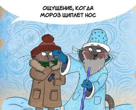 прикольные открытки на тему времена года , прикольные про  зиму. прикольные открытки на тему времена года , прикольные открытки про зиму , зима наступила , смешные картинки про зиму , открытки с юмором про зиму , зимние прикол .