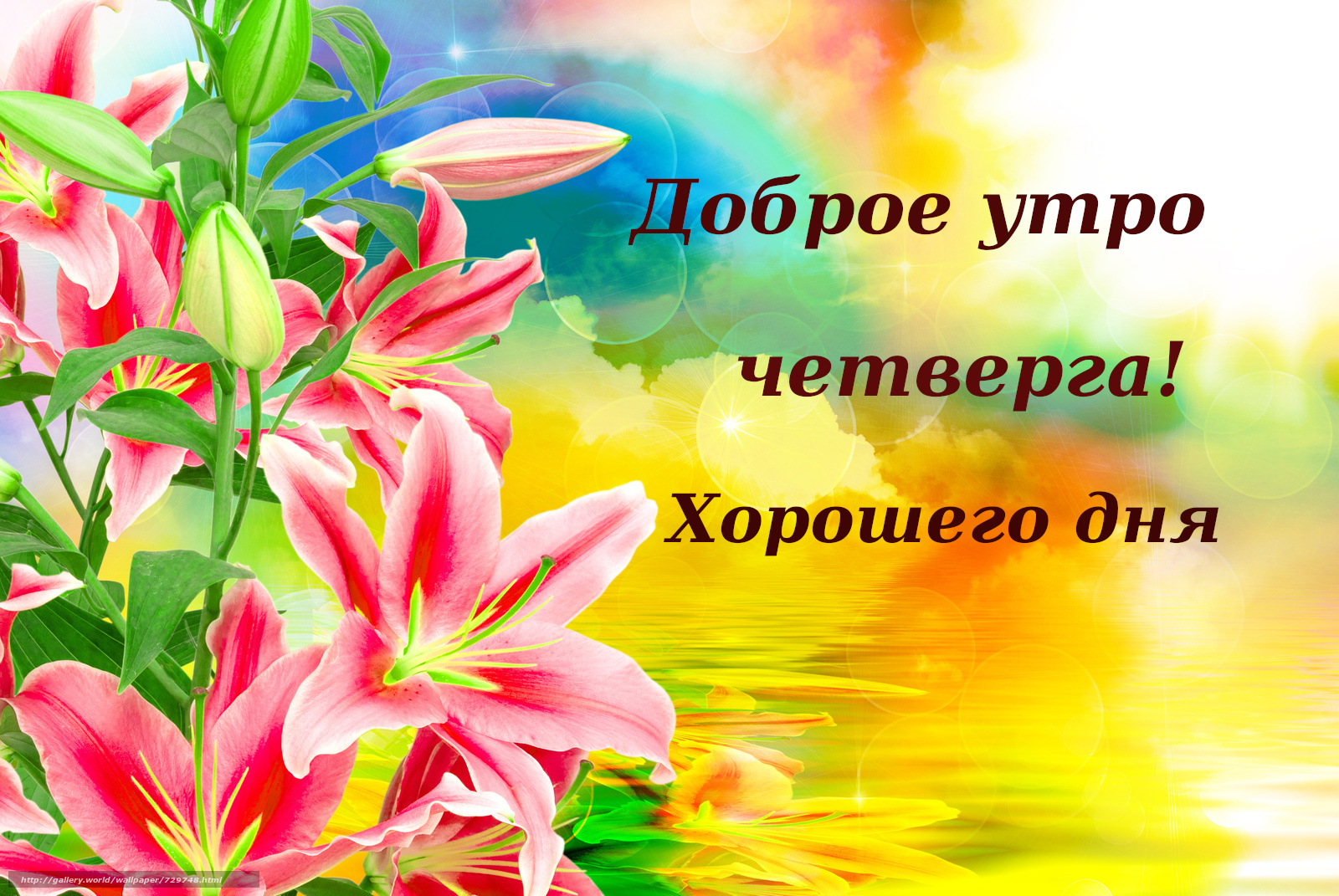 Картинка,открытка с пожеланиями доброго утра четверга , доброе утро четверг Картинки,открытки с добрым утром четверга, открытка пожелание доброго утра четверга ,красивая картинка с добрым утром четверг, четверг доброе утро скачать бесплатно.