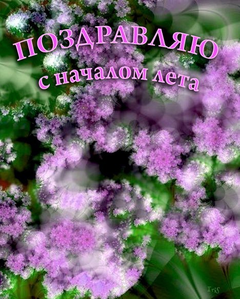 Открытка первый день лета , начало лета , с первым днём лета ,цветы. Картинка открытка с первым днём лета , начало лета , первый день лета , вот и лето , картинки яркие с первым днём лета ,цветы , открытки с летом , с началом лета