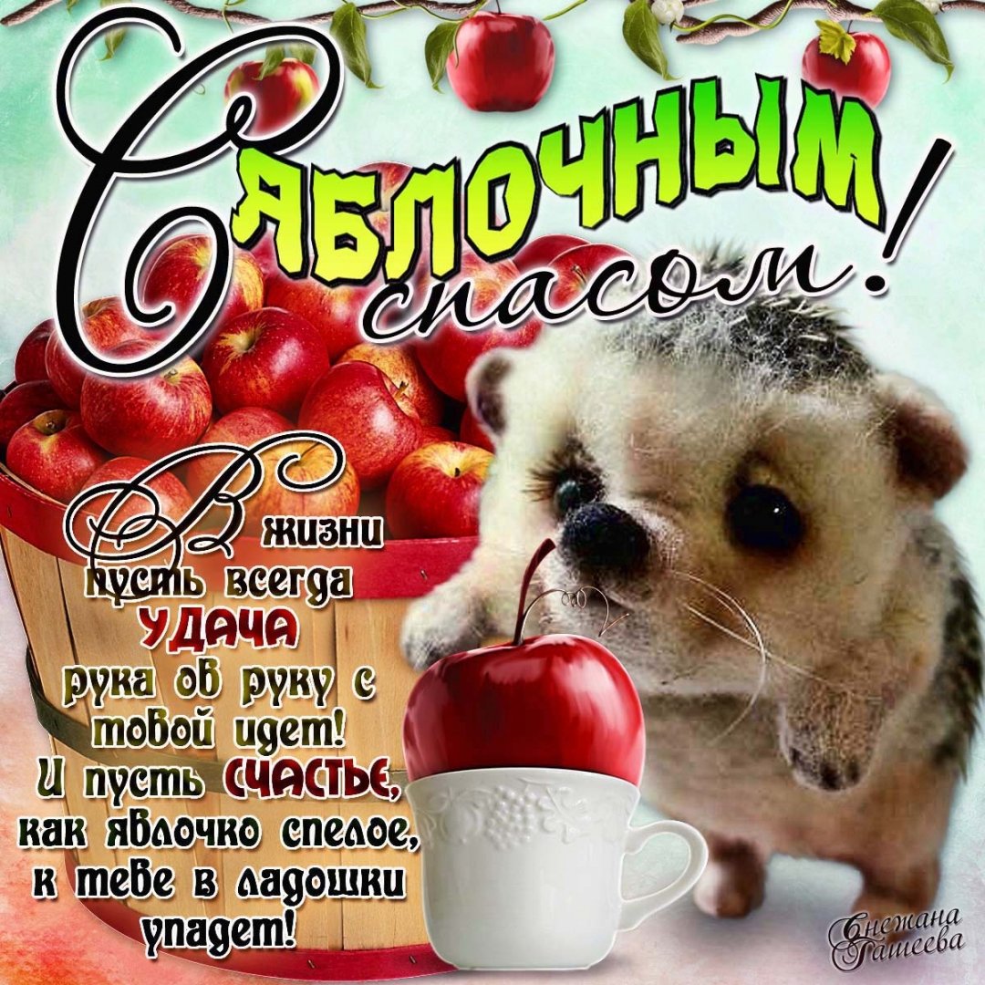 Яблочный спас народно христианский праздник , открытка с ёжиком. Яблочный спас народно христианский праздник , картинка , открытка с изображением ежа , ёжика ,красивые , яркие , красные яблоки , яблочки , с яблочным спасом . 