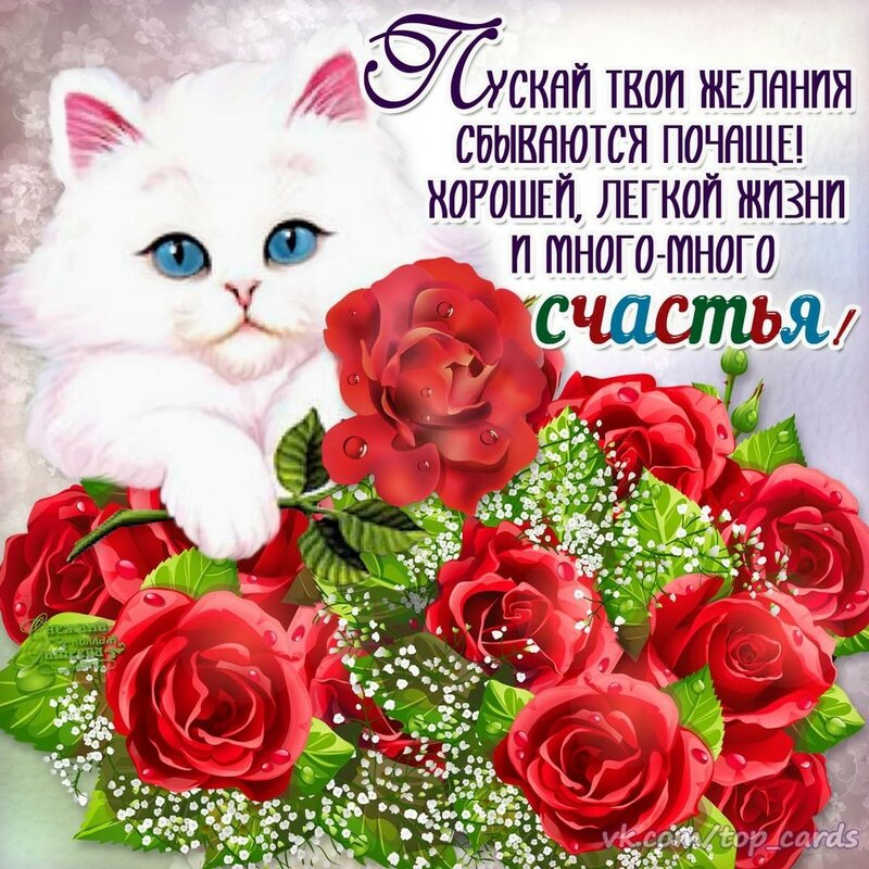 Международный день счастья , открытка с днём счастья , кошка. Картинка , открытка с международным днём счастья , день счастья , на открытке кошка , кошечка , 20 марта всемирный день счастья , открытка ко дню счастья с кошкой , котом.