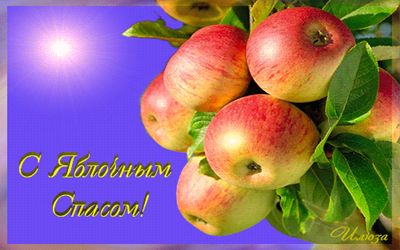 Яблочный спас народно христианский праздник , открытка гиф . Яблочный спас народно христианский праздник , картинка , открытка гиф , мерцающая , на яркой открытке изображены красивые яблоки , сочные , с яблочным спасом . 