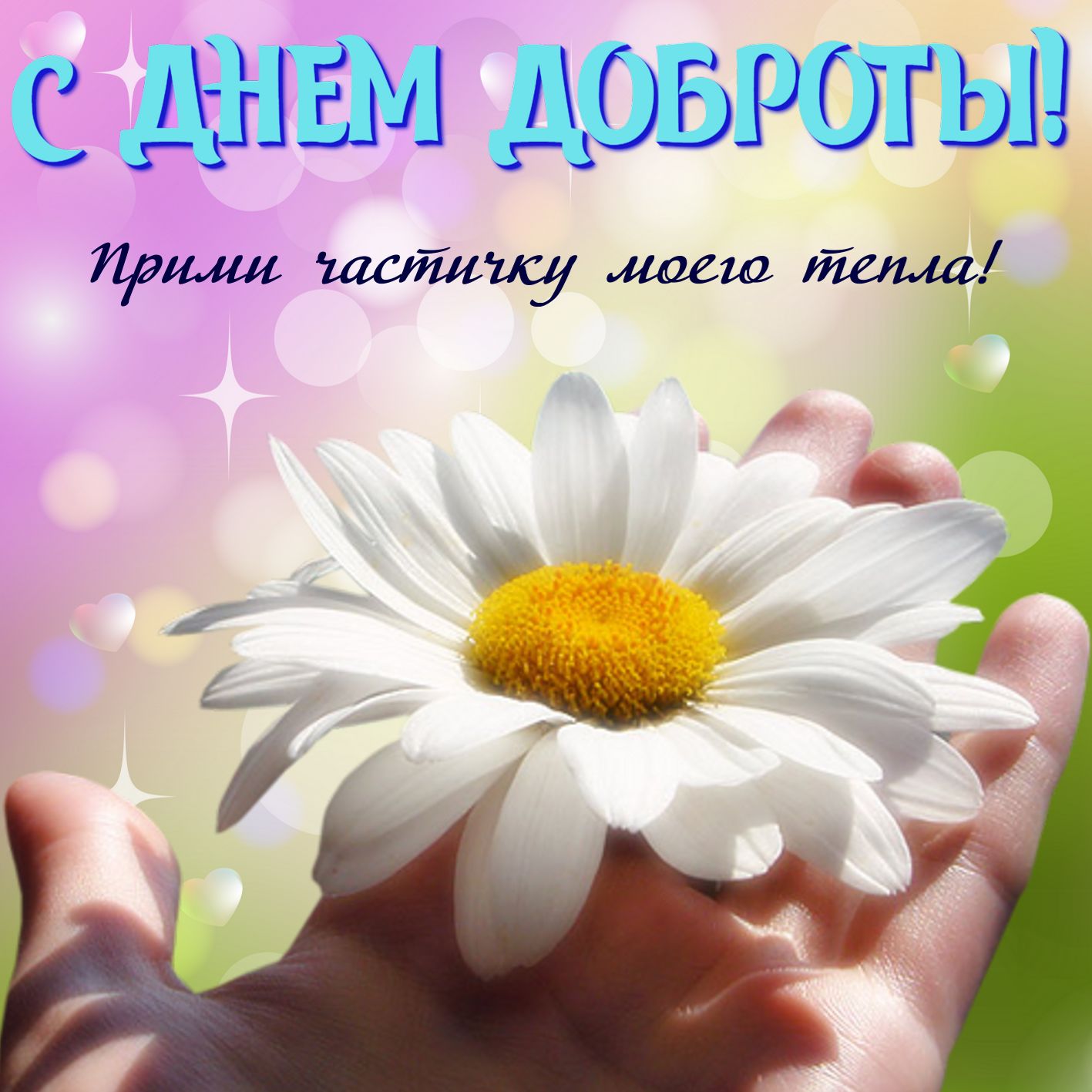 Международный день доброты ,открытка с праздником день доброты ,цветы. Картинка , открытка с праздником всемирный день доброты , добра , открытки с днём доброты с цветами красивыми, яркая  открытка день  доброты скачать бесплатно .