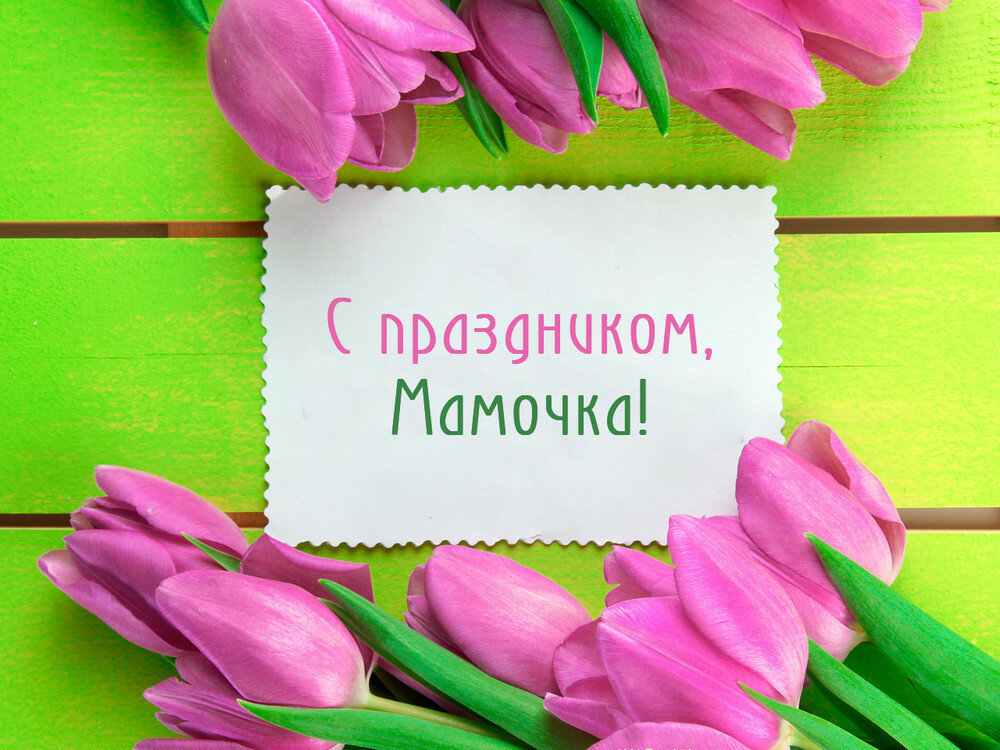 Международный праздник день матери , открытка день матери с цветами Открытка , картинка с праздником международный день матери праздник в честь матерей ,принято поздравлять матерей и беременных женщин , открытка с днём матери с красивыми цветами