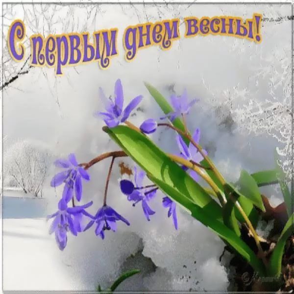 Открытка с первым днём весны 1 марта, открытки первый день весны,цветы Картинка открытка с началом весны,весна,открытки с весной,картинки с первым днём весны ,открытка на 1 марта первый весенний день ,открытки на первый день весны.